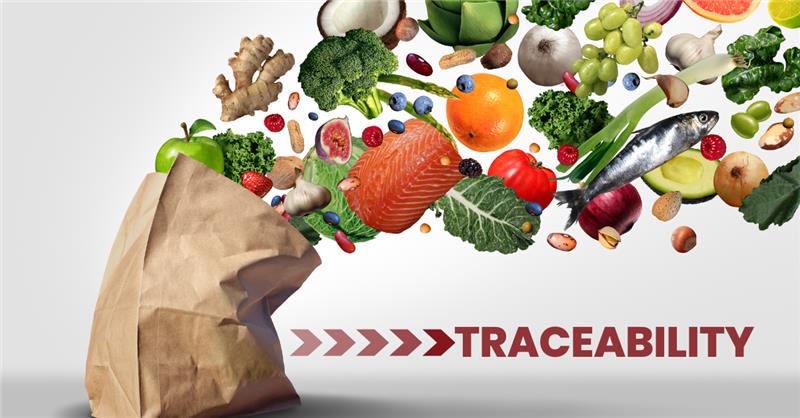 Traceability-blog-post-img